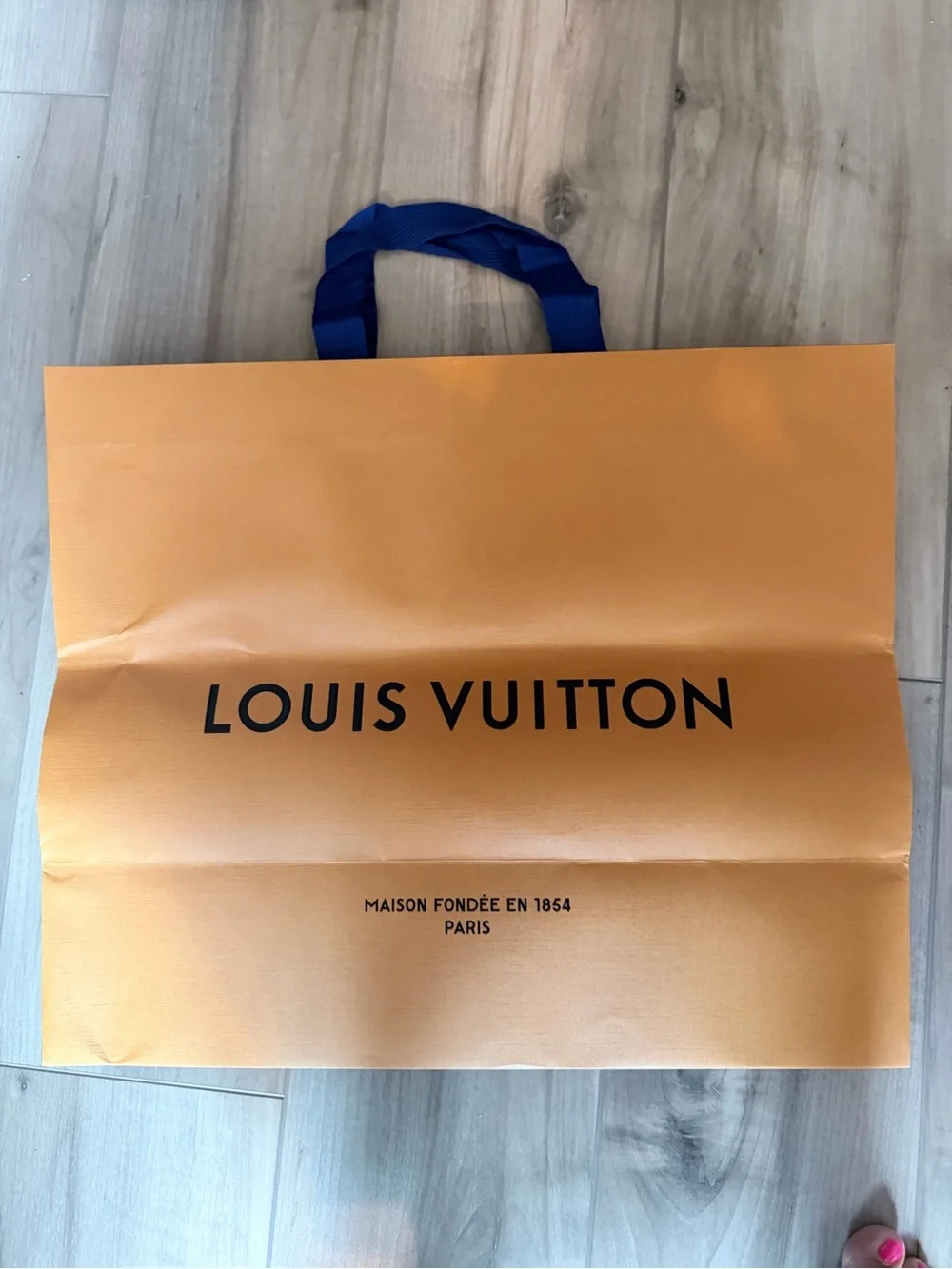 Louis Vuitton Paper Bag